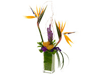 The vivid orange of the Bird of Paradise and Pin Cushion Protea, the violet of the Liatris and Carnation and the green of multiple foliages come together in a contemporary formal linear design.