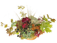 A full and sprawling arrangement of vine maple with turning leaves, dried hydrangea, sedum, blackberries, celosia, viburnam berries, and bundles of long grasses.
