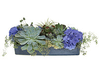 A beautiful, low centerpiece features various succulents, eucalyptus pods, tillandsia, hydrangea, seeded eucalyptus, sedum, and eryngium.