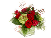 A Christmas arrangement of various bright red roses, light green hydrangea, and evergreen bits decorated with spirals of festive red wire and red diamante pins together in a cube-shaped vase.