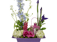 An arrangement of tulips, iris, delphinium and hydrangea with a lantern style candle holder sits in a low purple container.