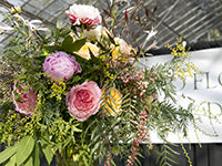 An explosive arrangement of peonies of multiple colors against various foliages of different shapes, lengths, and textures.