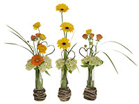 Three tall and slender arrangements of yellow and orange Gerbera daisies and ranunculus, lily grass, white hydrangea, and branches fashioned into heart shapes. Branches are wound around the base of each vase.