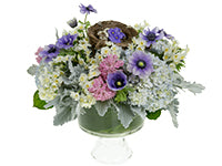 A round Easter centerpiece of small daffodils, pink hyacinth, dusty miller, soft purple hydrangea, lavender anemone, delicate violet, and a decorative nest holding speckled quail eggs.