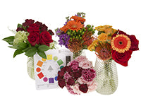 Four arrangements, each in different color palettes demonstrating different themes of color theory, with a color wheel card nestled in the center.