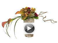 Coral and yellow calla lilies, kiwi vine, cymbidium orchid blooms, red roses, lily grass, galax leaves, and white agapanthus crafted together in a horizontal linear floral design in a textured container.