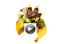 A wrist corsage of gold flat wire decorated with oncidium orchid blooms, hypericum berries, echevaria, and the variegated leaves of New Zealand pittisporum.