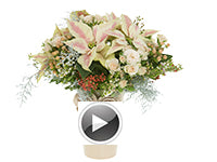 Peach and blush colored poinsettia blossoms are used as cut flowers in a beautiful holiday floral design that also mixes matching hypericum berries, and spray roses in a pale pink vase.