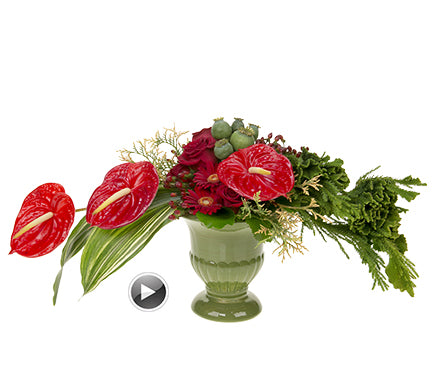 A dramatic Christmas arrangement featuring anthurium, gerbera daisies, roses, and hypericum berries in shades of deep red, along with evergreen foliages, including Cristata cedar, poppy pods, and galax leaves in an olive green containter.