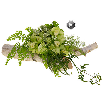 A bouquet entirely in shades of green featuring roses, carnations, green trick dianthus, scabiosa, variegated tulips, cymbidium, galax leaves, geranium leaves, lily grass, jasmine vine, sprengeri, and maidenhair fern rests on a branch.