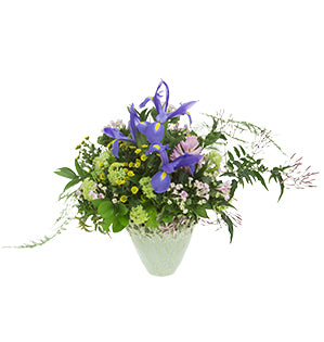 A spring hand-tied bouquet featuring iris, pink hyacinth, spray chrysanthemums, bouvardia, viburnum, jasmine vine, plumosa, and ruscus sits in a sea-foam green ceramic vase.