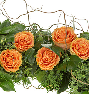 A section of a garland made from camellia, juniper, Oregonia, and curly willow to create a dynamic line, adorned with garden roses in an apricot hue.