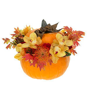Seemingly bursting out of a large pumpkin are fresh fall flowers like celosia, pincushion protea, hypericum, leucadendron, foliages, and colorful autumn leaves. A bow is tied with brown ribbon on the pumpkin's stem.