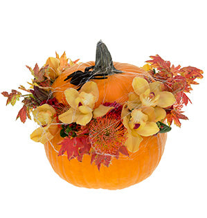 Seemingly bursting out of a large pumpkin are fresh fall flowers like celosia, pincushion protea, hypericum, leucadendron, foliages, and colorful autumn leaves. A faux spider and webs complete the design.