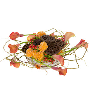 Coral calla lilies and curly willow swirl and wrap around their base, which also holds hypericum berries, textural celosia, and lotus pods.