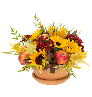 An Autumn floral centerpiece of sunflowers, celosia, leucadendron, Nandina leaves, chrysanthemums in the deep vibrant hues of the fall season, and shiny round apples in a  ceramic dish laid in a saucer.