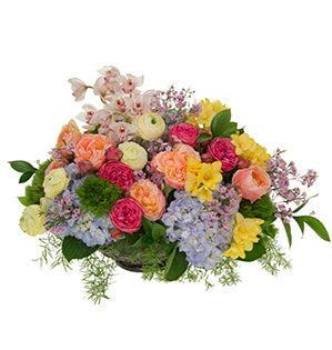 A bright and colorful floral arrangement of Princess Aiko and pink piano garden roses, blue hydrangeas, yellow freesias, pastel yellow ranunculus, green trick dianthus, orchids, pink wax flower, sprengeri, and ruscus.