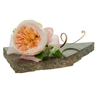 A wide-blooming garden rose, a small bit of astrantia, a couple of ruscus leaves, and a pink ribbon tied in a bow come together in curled gold flat wire to create this corsage sitting on a broken slab of granite.