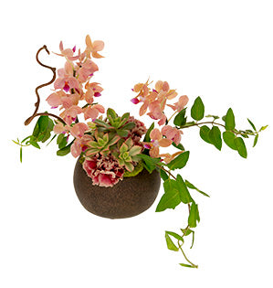 Orchids, carnations, succulents, honeysuckle vines, reindeer moss come together to create and interesting floral design inside a round stone container.