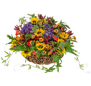A full and lush floral arrangement of sunflowers, hydrangea, Milky Way aspidistra, leucadendron, carnations, chrysanthemums, Israeli ruscus, and passion vine in a textural, handwoven basket.