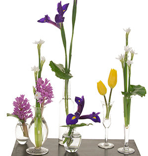 A beautiful spring flower meditation features hyacinth, iris, tulips, and paperwhites as individual blooms mixed with galax leaves in small glass vases. 