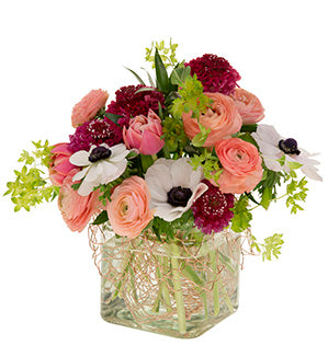 A fun spring flower arrangement combines ranunculus, anemone and tulips in dark pink to light pink tones, accented with white.