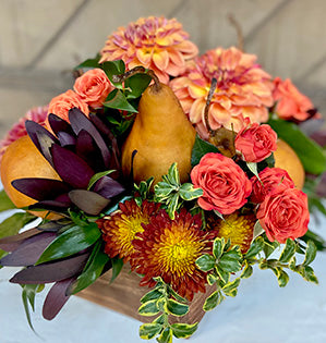 A beautiful round arrangement mixes Bosc pears, autumn chrysanthemums, dahlias, spray roses, leucadendron, Italian ruscus, salal, and oregonia.