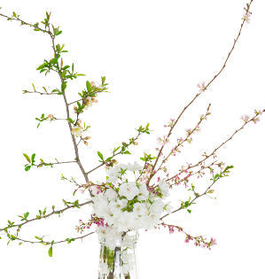 Blooming Spring Branches