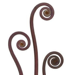 Uluhe  - Purple Fern Curl