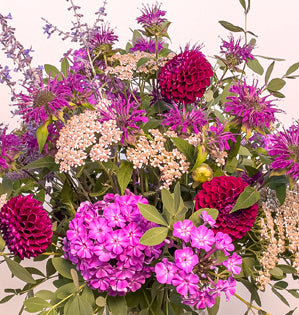 A close up image of garden flowers such as dahlia's, yarrow, monarda, russian sage, and flox, all in shades of magenta.