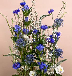 A lovely garden design made with narcissus, bachelor buttons, gentian, spirea, veronica, allium, sphagnum moss, and galax leaves.