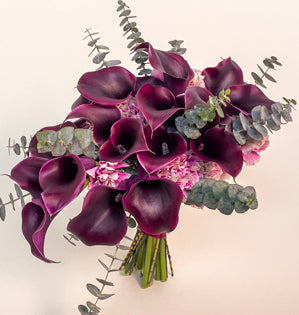 A radiant cascading bouquet comprised of deep purple calla lillies accented with pink antique carnations and baby blue eucalyptus.