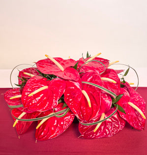 A stunning centerpiece made using cherry red anthuriums accented with ribbon lily grass.
