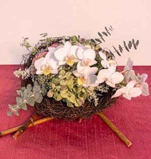A beautiful nest full of spiral and seeded eucalyptus, artemisia, hydrangea, cockscomb celosia, and topped with miniature phalaenopsis orchids.