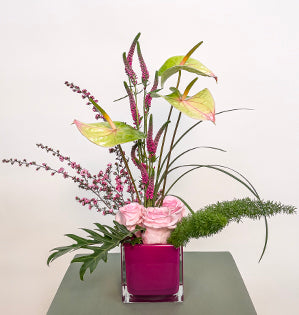 A linear design in a pink square container, created with anthurium, roses, leptospermum, veronica, xanadu leaves, meyeri fern, and lily grass.