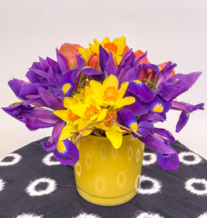 A collection of small mono-botanical hand tied bouquets using daffodils, iris, and tulips placed into a vibrant yellow vase.