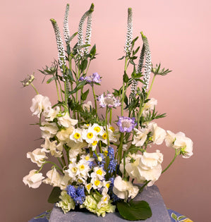 An seasonal urban oasis full of muscari, sweet peas, veronica, paper white narcissus, carnations, scabiosa, and galax leaves.