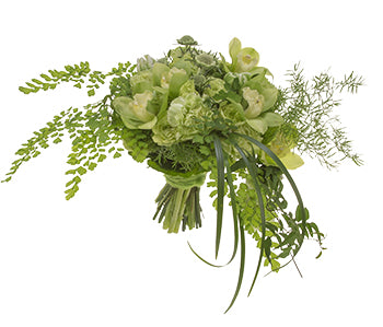 A hand-tied bouquet entirely in shades of green featuring roses, carnations, green trick dianthus, scabiosa, variegated tulips, cymbidium, galax leaves, geranium leaves, lily grass, jasmine vine, sprengeri, and maidenhair fern.