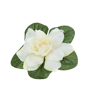 Gardenia