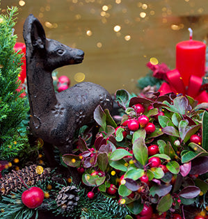 A statue of a deer sitting next to a red holly bush and a red candle creates a warm festive holiday setting.