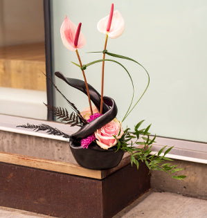 A gorgeous contemporary floral design features blush pink anthuriums, matching Mondial roses, dark pink spray chrysanthemums,  dried and preserved tinted fern, Italian ruscus, and lily grass in a unique black ceramic vessel.