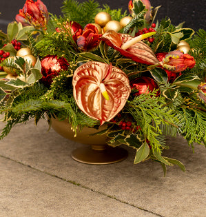 A festive foam-free centerpiece in a gold compote features parrot tulips and gilded anthuriums, and enhanced with sparkling holiday ornaments.