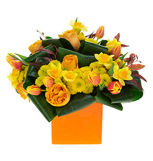 A party centerpiece features vibrant daffodils, Capriccio roses, button poms, tulips, and leucothe foliage in an orange cubed vase.