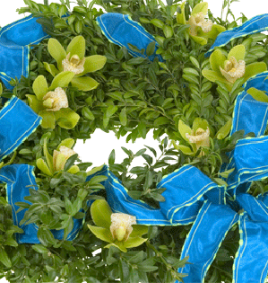 A beautiful boxwood wreath is adorned with fresh miniature cymbidium orchids and elegant ribbon for a festive style.