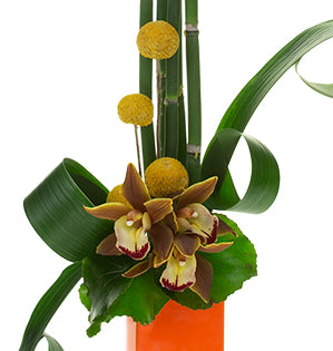 This beautiful linear floral design in a yellow orange color palette mixes mini-cymbidium orchids, billy balls, equisetum, aspidistra leaves, and galax leaves.