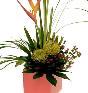 A bold and beautiful tropical floral design mixes parakeet heliconia, pin cushion protea, fatsia leaves, palm fronds, lily grass, sphagnum moss, and hypericum berries in a vibrant orange ceramic cube.