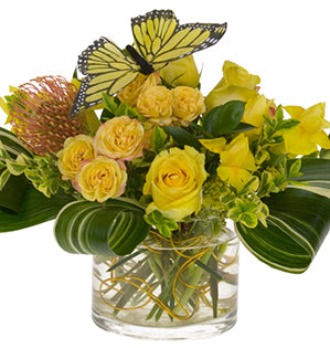 This gorgeous sunny floral design mixes bright yellow roses, yarrow, variegated aspidistra leaves, Israeli ruscus, and euonymus with a friendly butterfly nestled among the blooms