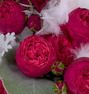 This vintage Valentine's Day floral design pairs Piano garden roses with dusty miller and lambs ear, then adds fluffy white feathers, pearls, and rhinestones for a glamorous touch.