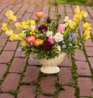 This beautiful spring floral design is foam free and features sweet peas, tulips, ranunculus, scabiosa, lisianthus, muscari, forget-me-nots, and variegated pittosporum in a ceramic vase.