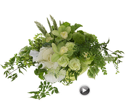 A centerpiece floral arrangement entirely in shades of green containing cymbidium orchids, kale, hypericum, roses, carnations, and foliages of maidenhair fern, geranium, tulips, green trick, and fatsia.